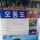 자전거여행 | 바람을 가르며: 여수 오동도 자전거 여행 후기