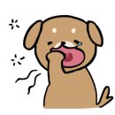 도기살롱 이미지