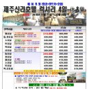뉴신라호텔 - 제주시 신대로12길 40 | 뉴신라호텔