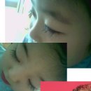 이태림 카카오 검색결과