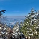 구상나무 화장실 이미지