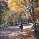 남산공원길3 이미지