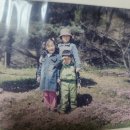 듬성듬성 투성이