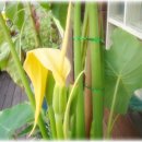 토란어린이집 이미지