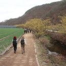 낙동경로당 | 숲실산 /경북 의성