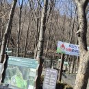 봉산 이팝나무길 | 서울 숲길 힐링 코스 봉산 편백나무힐링숲 봉산 왕복 2시간 등산 후기