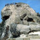 반월당명성약국 이미지