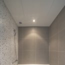 브라운도트거북섬점 이미지