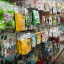 팻키우소 이미지