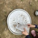 길냥이와 함께하는 이미지