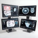 닥터오케이의원 | 잇몸 찌릿한 나에게 치과 방문은 숙명이었음요