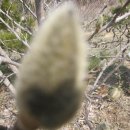 새봄농장 이미지