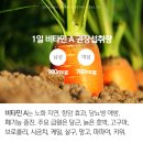 소양강민물장어 이미지