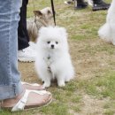 해뜰동물병원 이미지