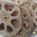 옥동농장 이미지