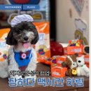 🍗+🍺+⛱️=💯 성수 ‘장하다하림멕시칸팝업’ 후기