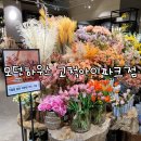 엠에이치몰 | 모던하우스 혜택이 풍성한 모던하우스 고척아이파크점에서 즐거운 쇼핑!