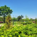 성저파크골프장 이미지