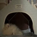 개스트푸드 이미지