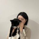 아르떼헤어 | [일상] 전주 신시가지 대형 미용실 '헤어아르떼' 펌 시술 후기 :)_이은 디자이너 추천