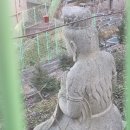 아미초등학교 이미지