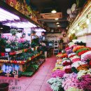 부평우일 이미지