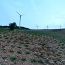 매봉산 바람의언덕 이미지