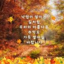 오늘의 날씨 (11월 8일 금요일) 입영 12일차 이미지