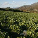 무주농협 친환경유통사업단 이미지