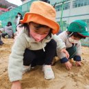 ＜11월4주＞ 지역사회연계(제산초등학교 둘러보기) 이미지