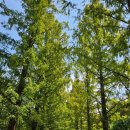 담양에코 이미지