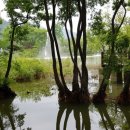 서해자동차 이미지