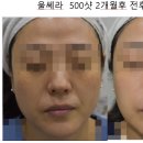 닥터지니 이미지