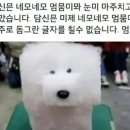 베이커리 카페 네모 이미지