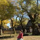 프리미엄 세탁마을 | 전주 한옥마을 한복대여 만삭 임산부 한복 가능 색동저고리