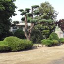 봉산초교 이미지