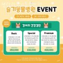 청량리 슬기 동물병원 | 동대문구 전농동 동물병원 청량리슬기동물병원 위치 오는길 후기