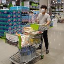 산적다육 | 8월 김포점 이마트트레이더스 휴무일 피해서 장보러 다녀옴..