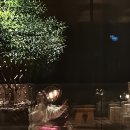 지에스25(GS25) 서귀엘지 이미지