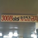 전설의참치 이미지