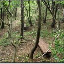 만연사 나한전 인왕상 이미지