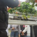 단북애청년 이미지