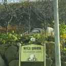 경기도 근교 애견 동반 가능한 렛츠고 강화 캠핑