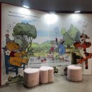 한국타이어 동대전판매(주) | 대전 소제동 푸우 100주년 팝업 후기 &amp; 벚꽃 개화 상황🌸