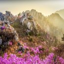쌍방울함양점 | 어린이 날/입하(立夏)
