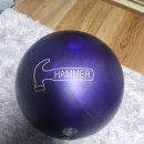 퍼플라이노 이미지