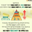 순수약국 | 보령약국오메가3 구매 후기 식물성 오메가 3