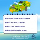 상효1동마을회관 | 제주경매 - 서귀포시 상효동 단독주택경매