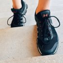 (주)웰니스피트 이미지