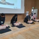 Bravo오페라 발레 이미지